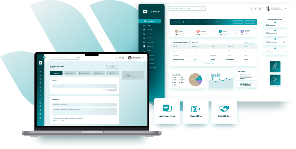 ManewCo interface example