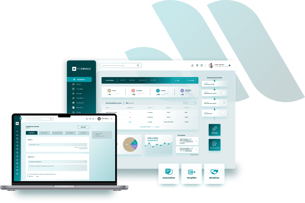 ManewCo interface example